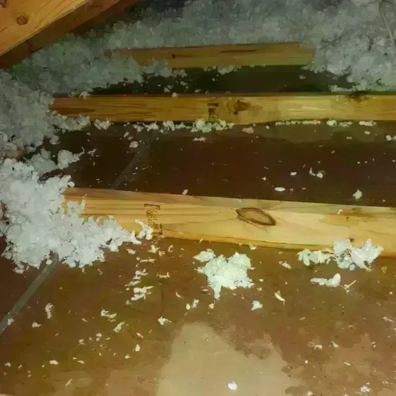 Attic Water Damage in Inola, OK