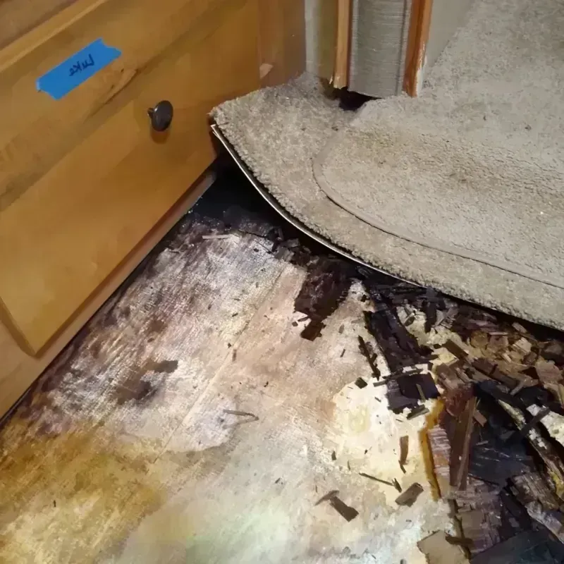 Best Wood Floor Water Damage Service in Inola, OK